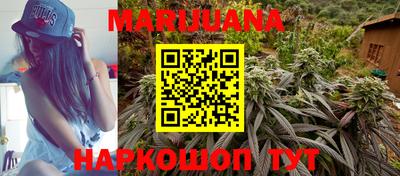 спайс Малгобек